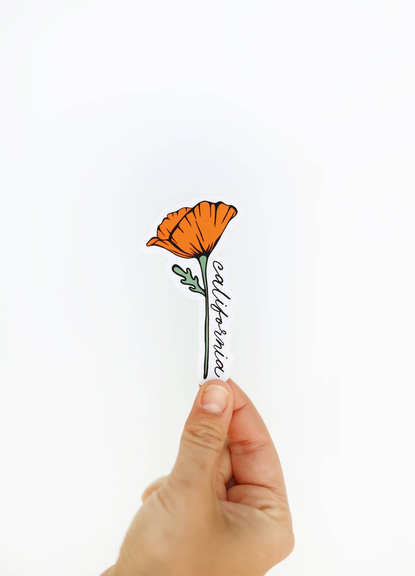 California Golden Blooming Poppy Vinyl Sticker: (Regular) 2x3