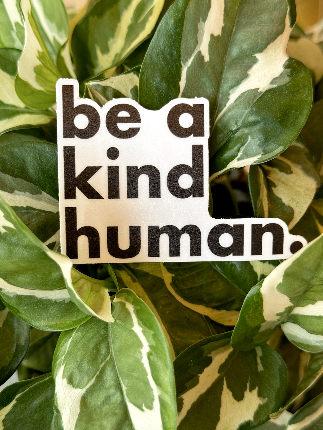 Be a Kind Human Sticker // White