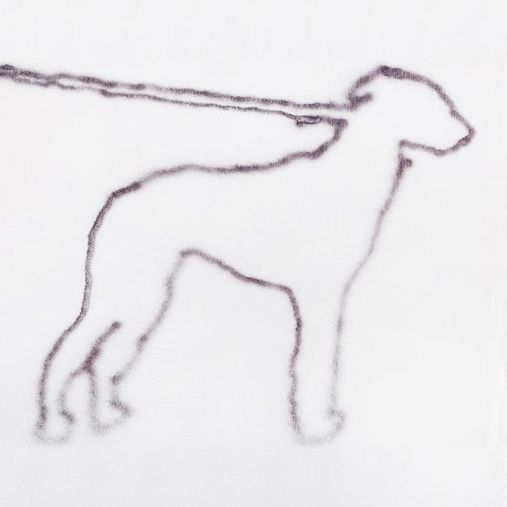 the album cover for Jonah Yano - Portrait Of A Dog