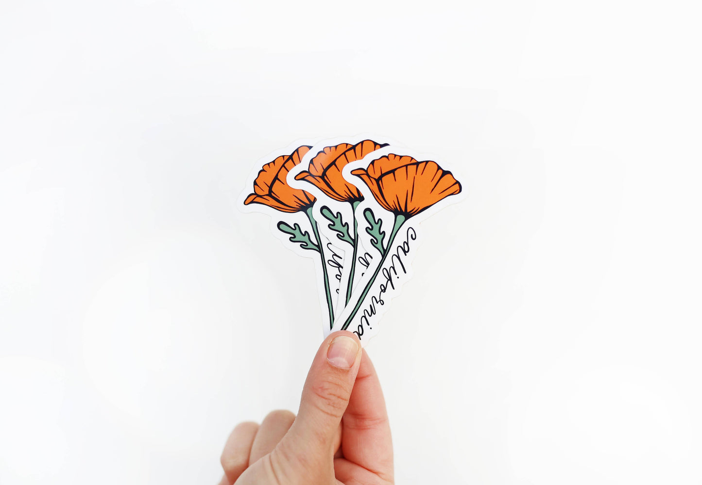 California Golden Blooming Poppy Vinyl Sticker: (Regular) 2x3