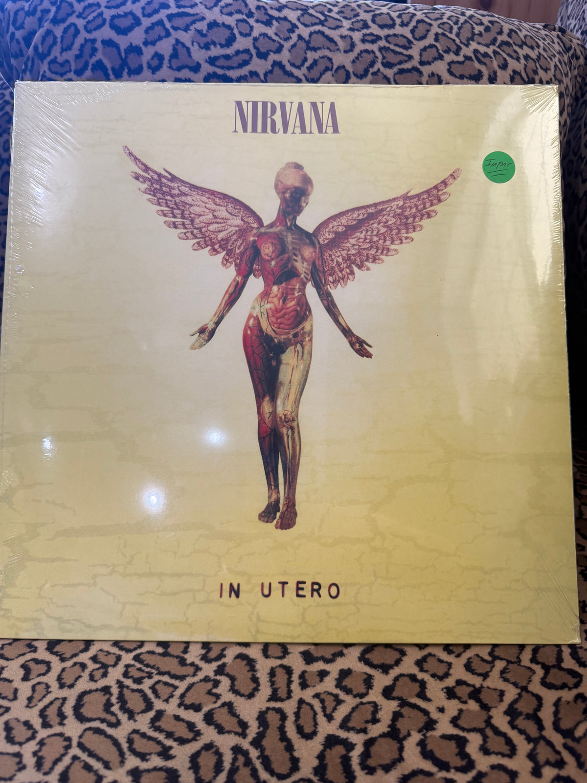 Nirvana - In Utero (Import)