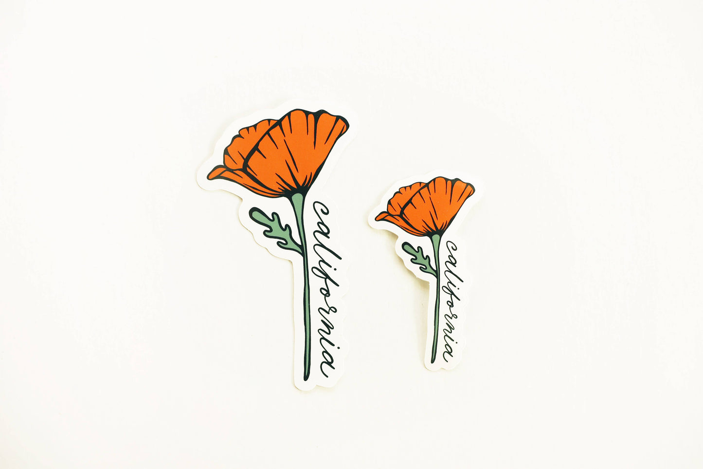 California Golden Blooming Poppy Vinyl Sticker: (Regular) 2x3