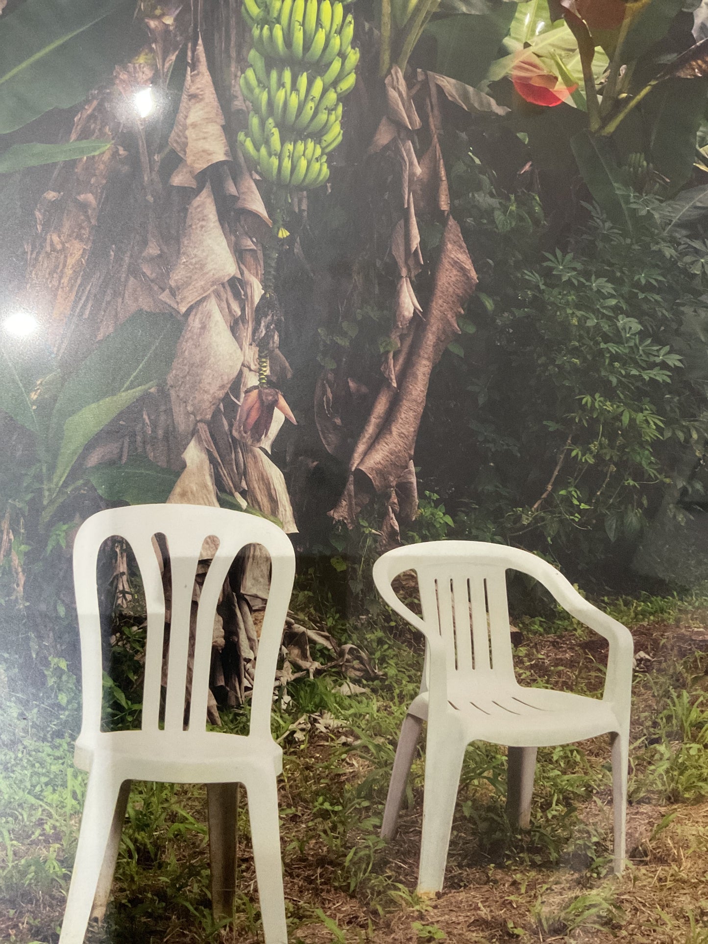 Bad Bunny - DeBi TiRAR MaS FOToS