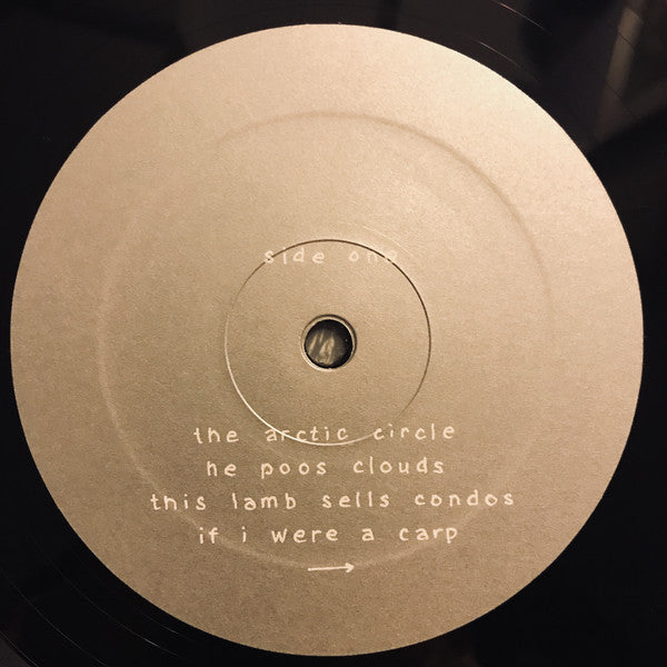 Final Fantasy (2) : He Poos Clouds (LP, Album)