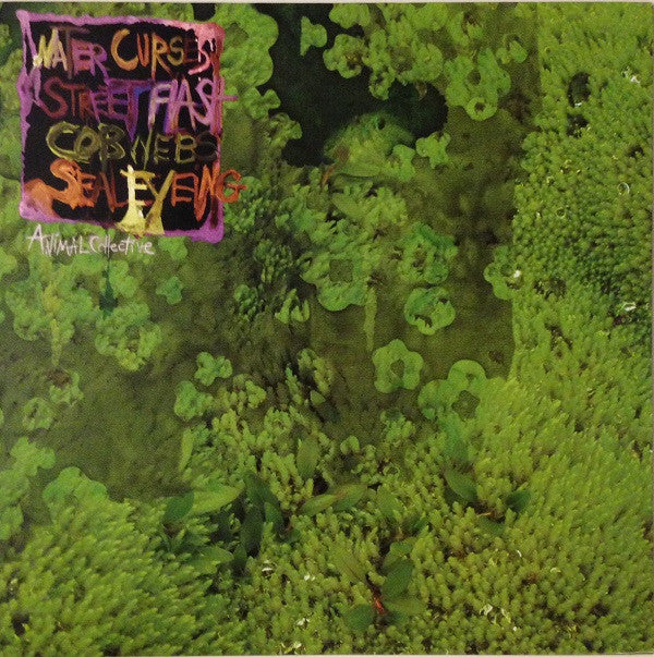 Animal Collective : Water Curses (12", EP)