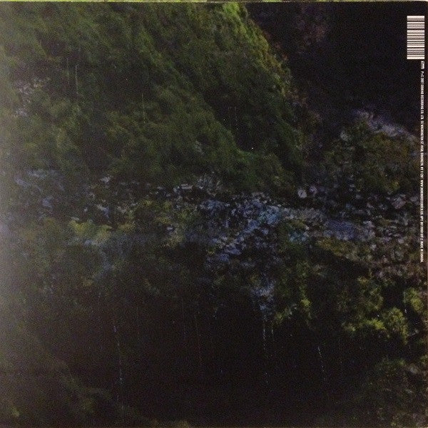 Animal Collective : Water Curses (12", EP)