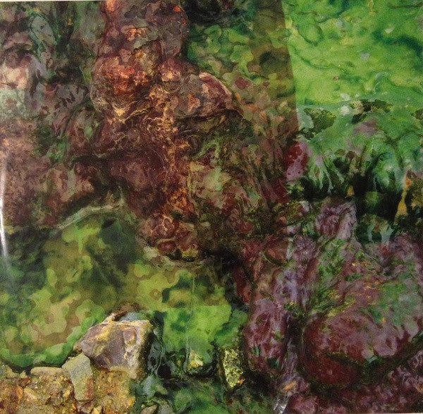 Animal Collective : Water Curses (12", EP)