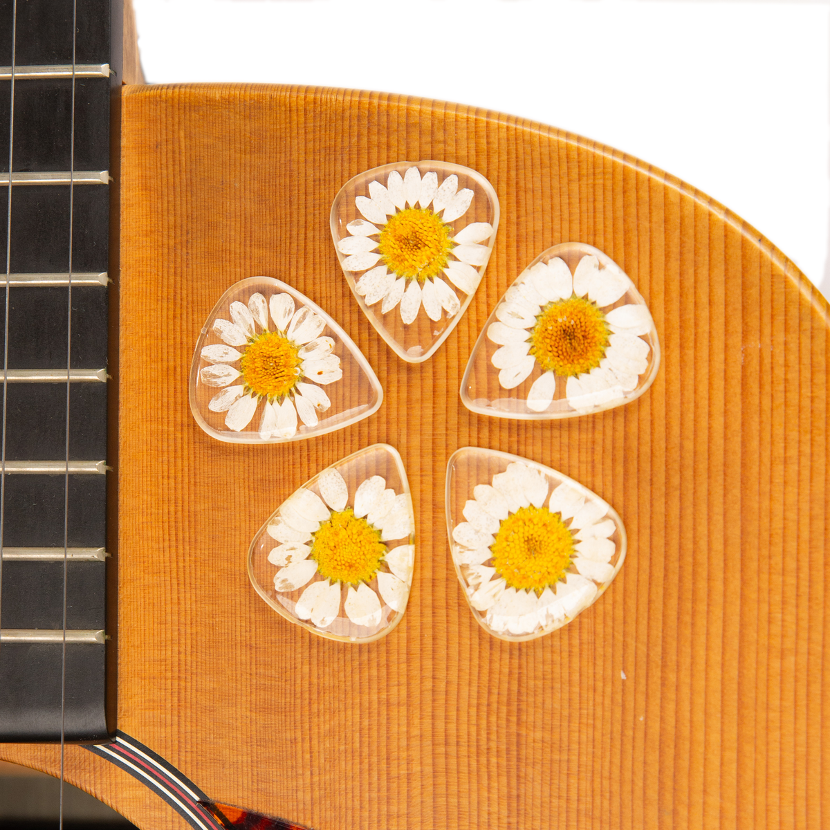 Flower Guitar Picks - Daisy | Novelty Gift for Music Lover