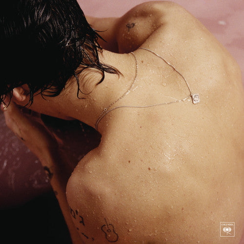 the album cover for Harry Styles - Harry Styles [LP]