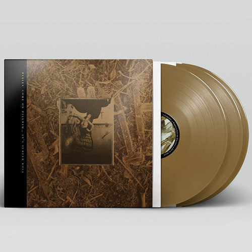 the album cover for Pixies - Come On Pilgrim... It's Surfer Rosa: 30th Anniversary Deluxe Edition [Bronze 3LP]