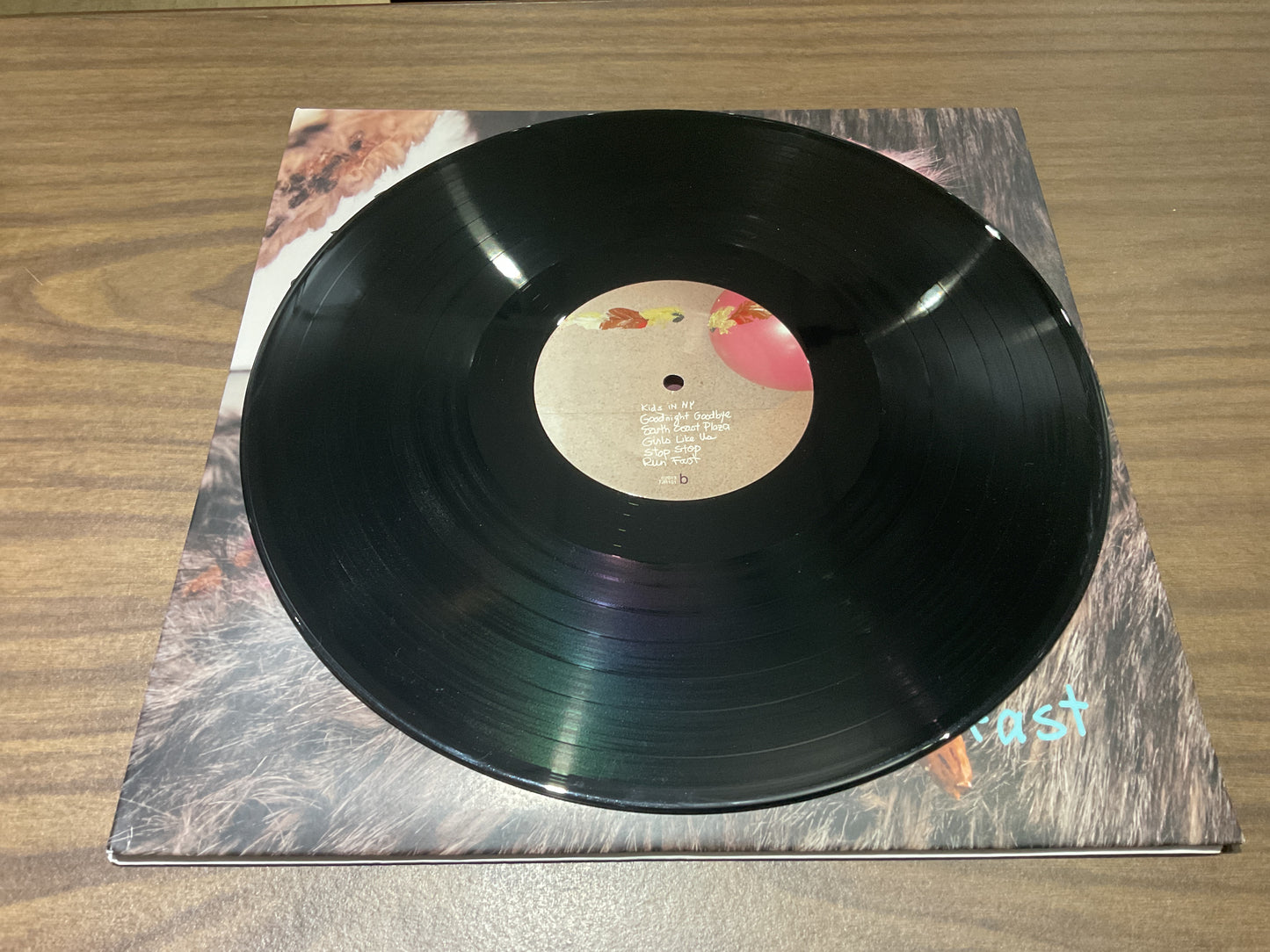 The Julie Ruin - Run Fast