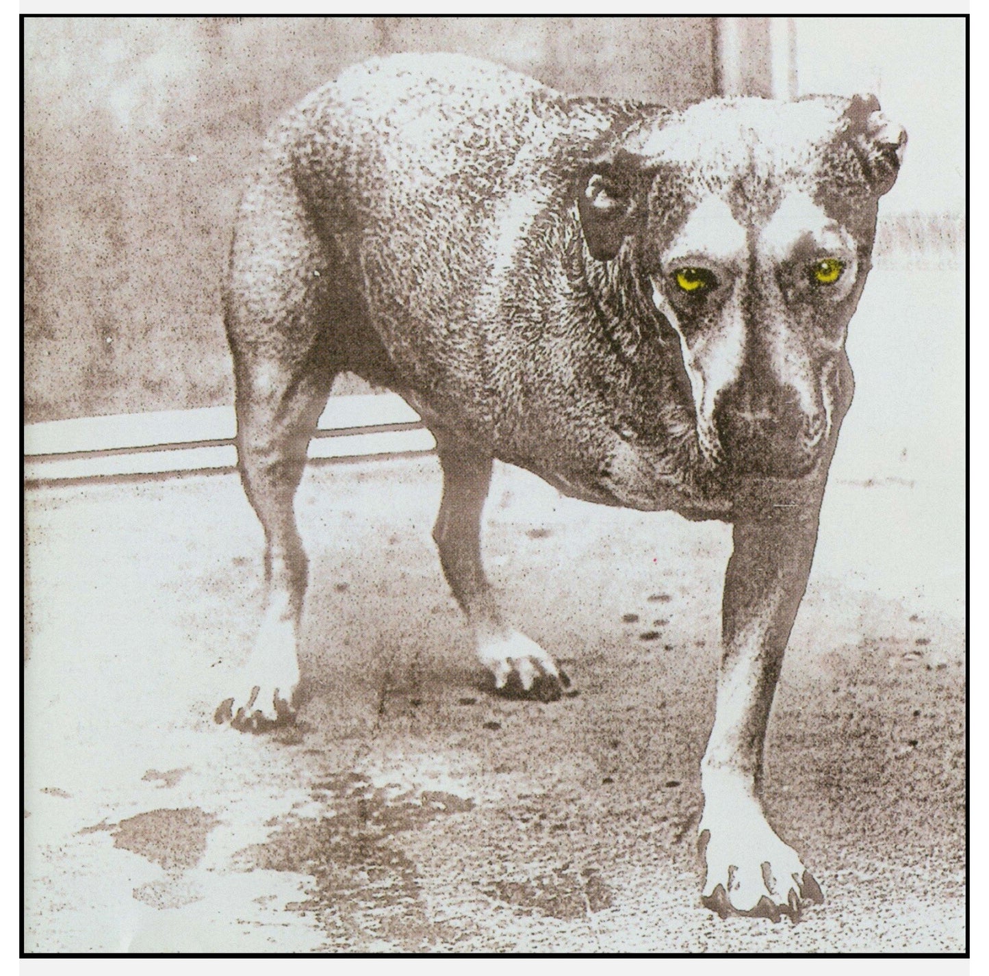 Alice In Chains CD