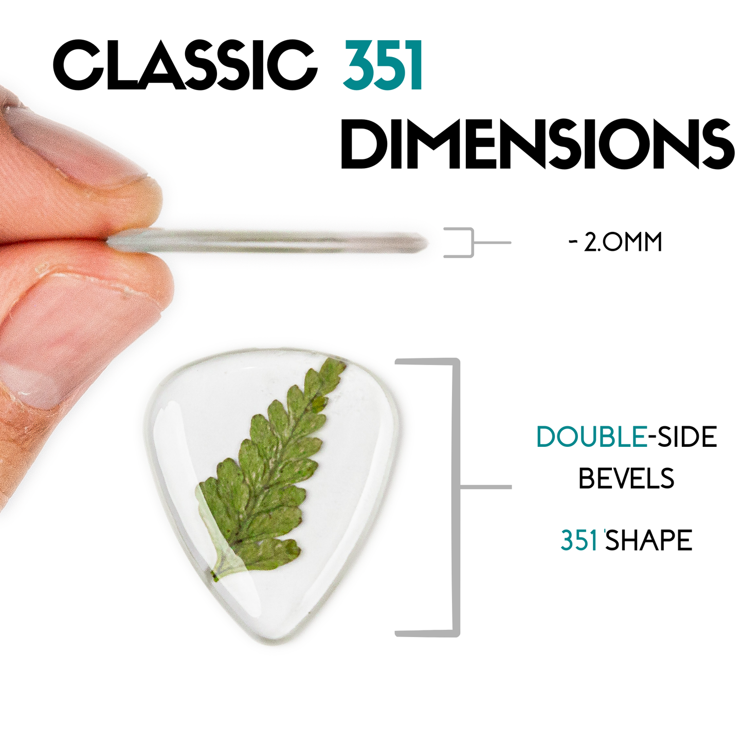 Flower Guitar Picks - Fern | Novelty Gift for Music Lover