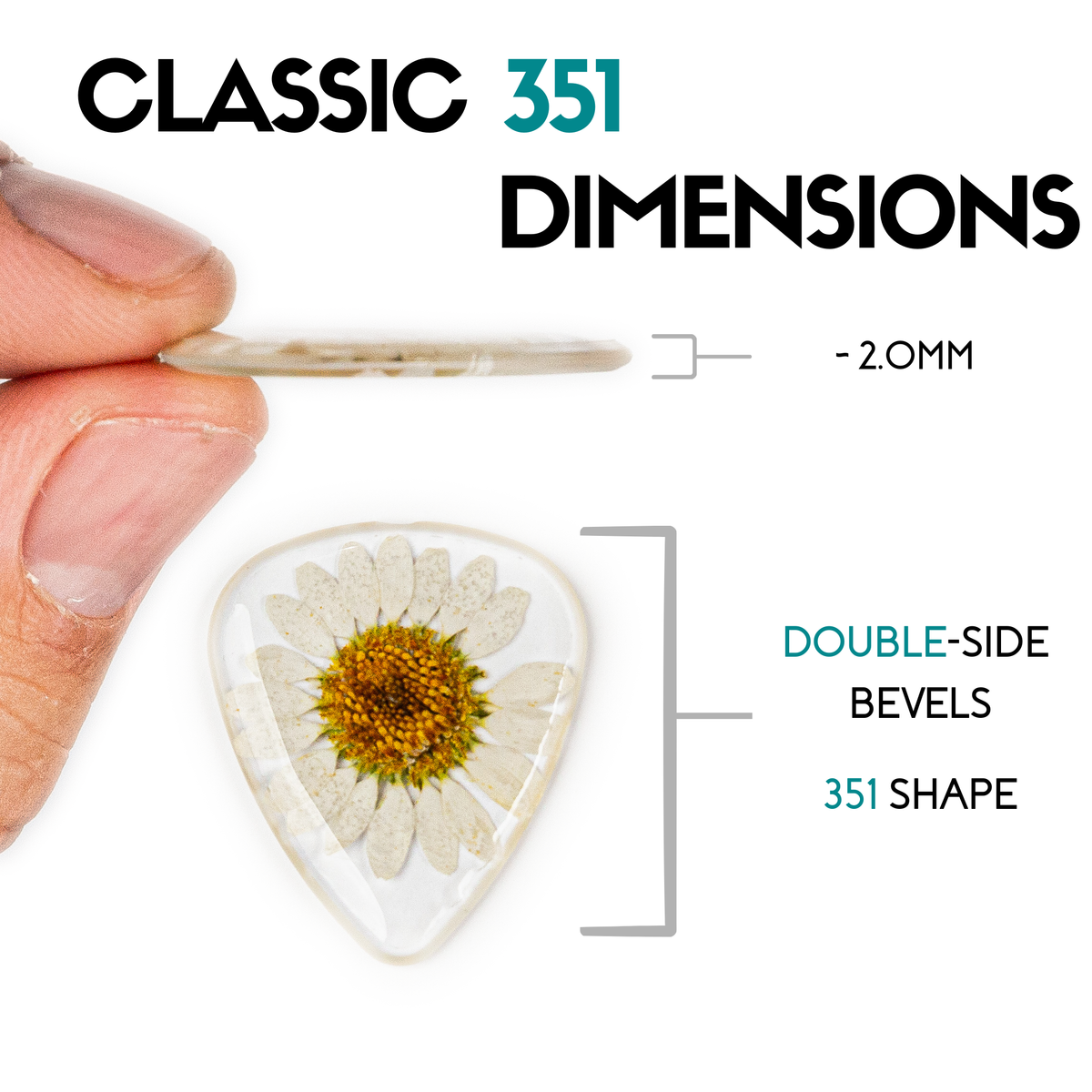 Flower Guitar Picks - Daisy | Novelty Gift for Music Lover