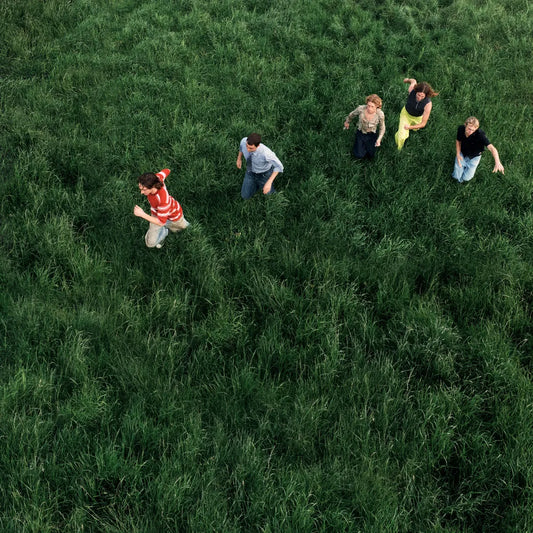 the album cover for Parcels - Loved [Indie Exclusive Clear Blue LP]