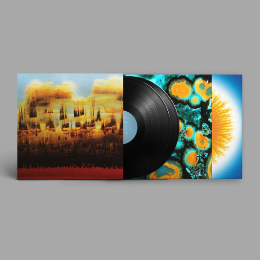 the album cover for Bonobo - Distance In Static [Black]