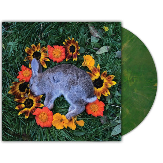 the album cover for Monolord - Your Time to Shine [Copper Emerald]