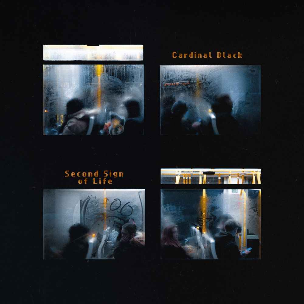 the album cover for Cardinal Black - Second Sign of Life