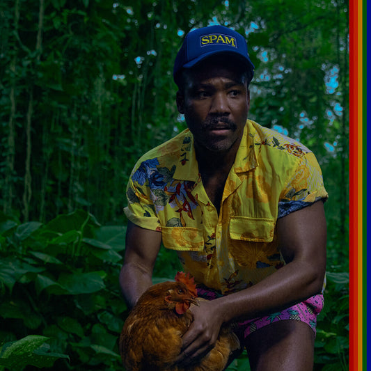 the album cover for Childish Gambino - Bando Stone and the New World [LP] [2 LP]