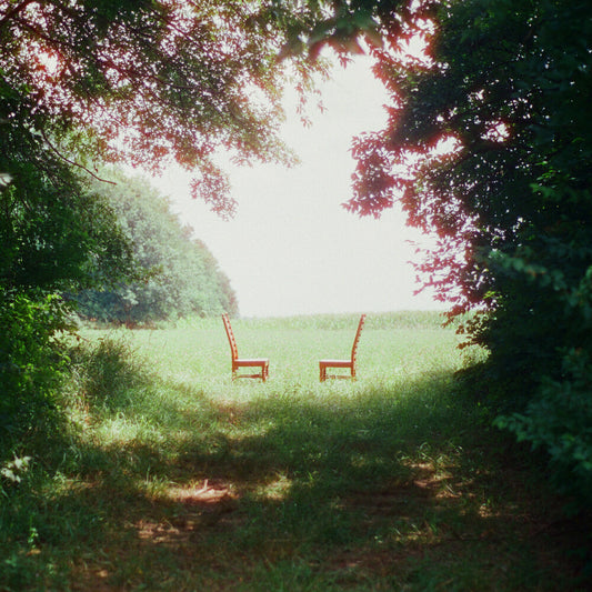 the album cover for Ratboys - Singin' to an Empty Chair [Indie Exclusive Autographed Opaque Green 2LP]