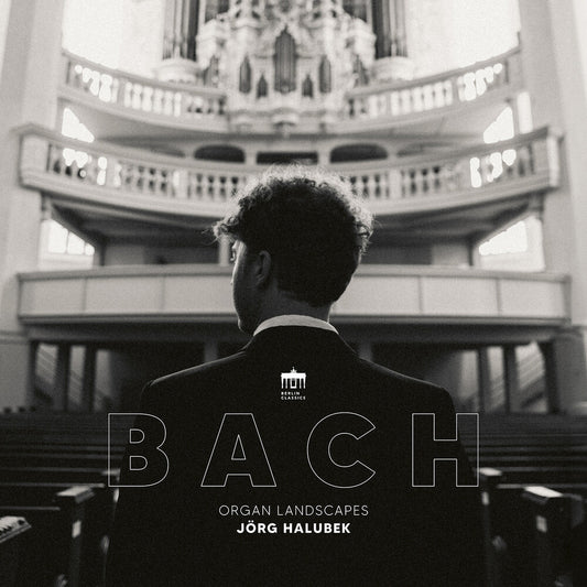 the album cover for Jorg Halubek - Organ Landscapes