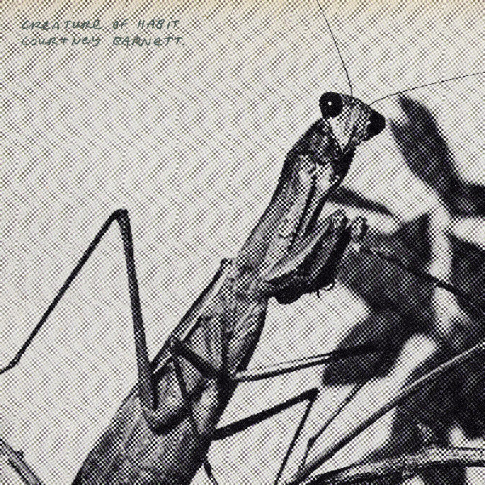 the album cover for Courtney Barnett - Creature of Habit [Indie Exclusive Caramel]