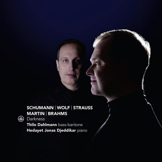 the album cover for Thilo Dahlmann - Darkness