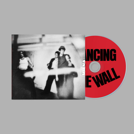 the album cover for Muna - Dancing On The Wall