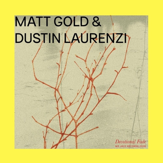 the album cover for Matt Gold  / Laurenzi,Dustin - Devotional Fade