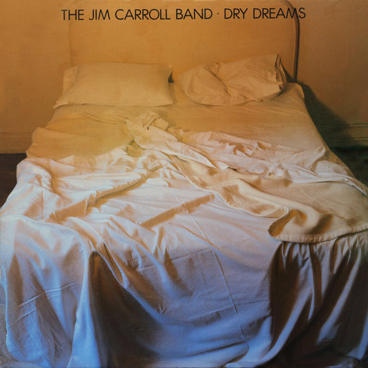 the album cover for Jim Band Carroll - Dry Dreams