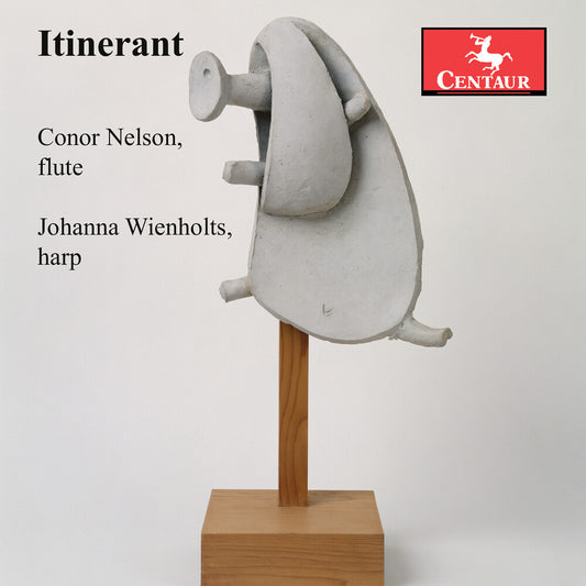 the album cover for Conor Nelson - Itinerant