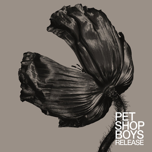 the album cover for Pet Shop Boys - Release (2017 Remaster)
