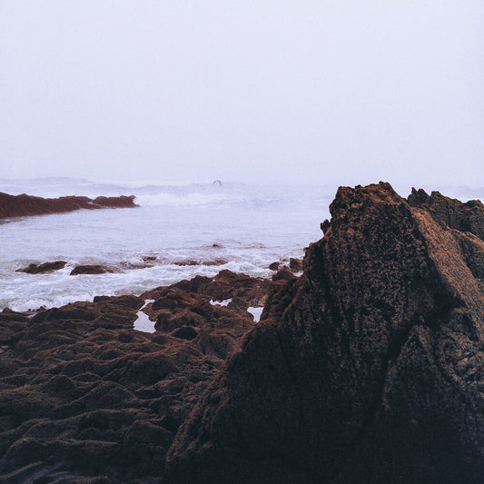 the album cover for Coltaine - Brandung