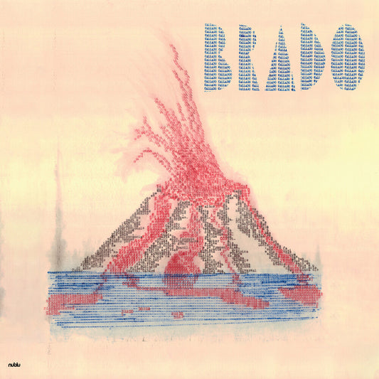 the album cover for Animal Invisivel - Brado