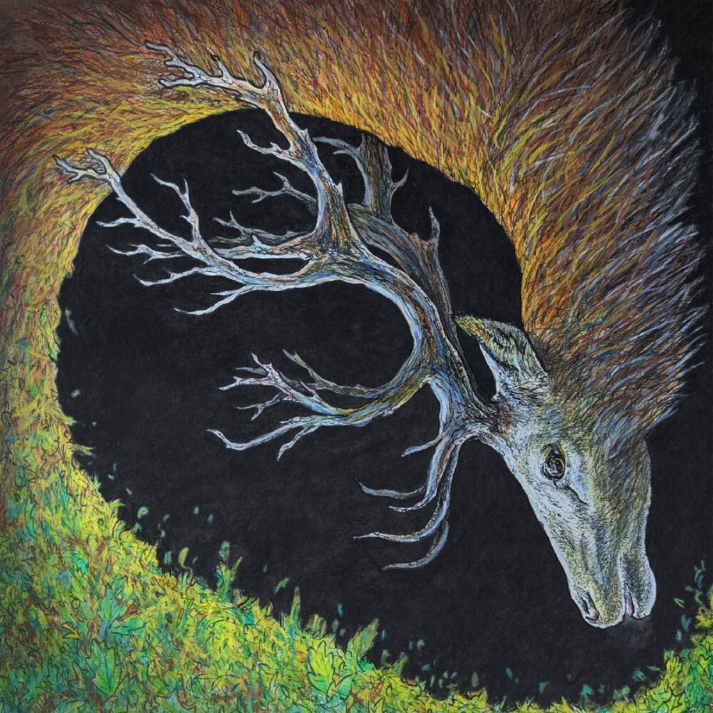 the album cover for Petrels - Infangthief - Clear Black Smoke (Blk) [Clear Vinyl] [Deluxe]