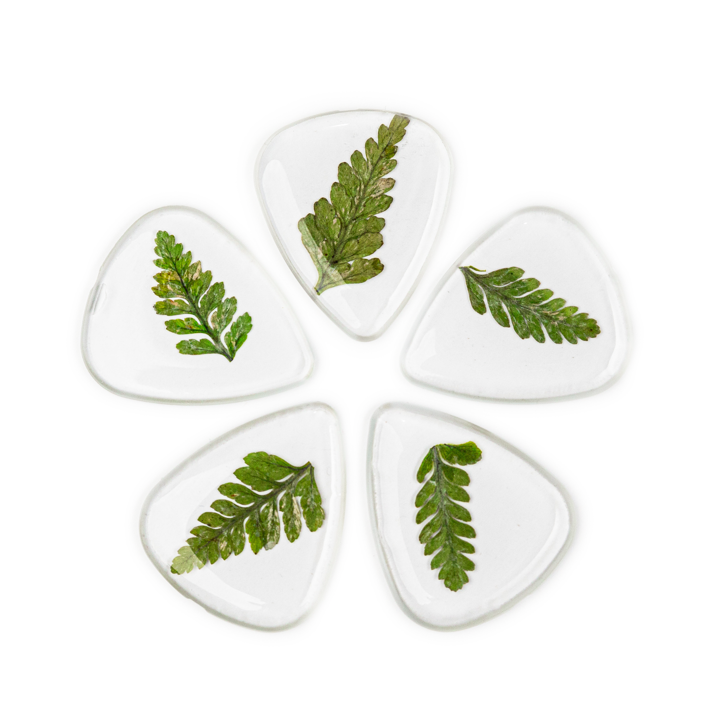 Flower Guitar Picks - Fern | Novelty Gift for Music Lover