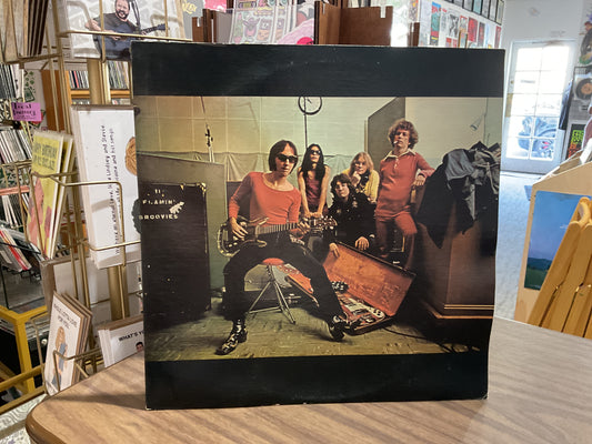 The Flamin’ Groovies