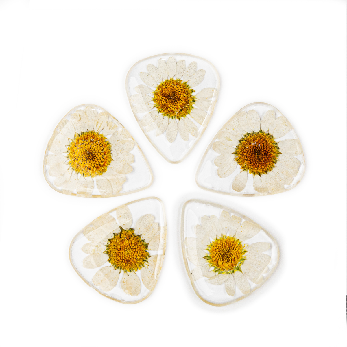Flower Guitar Picks - Daisy | Novelty Gift for Music Lover