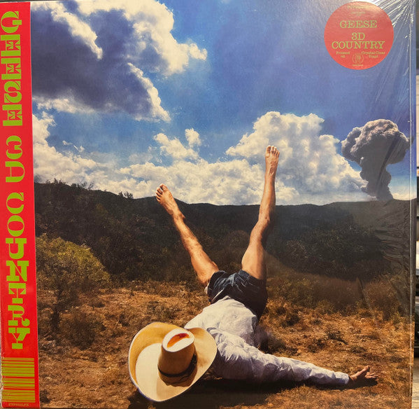 Geese - 3D Country LP