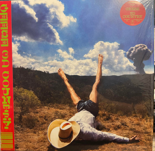 Geese - 3D Country LP