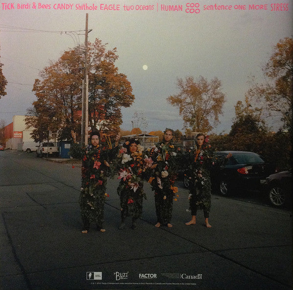 Weaves : Weaves (LP, Album, Neo)