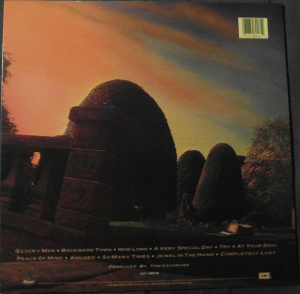 The Grapes Of Wrath : Treehouse (LP, Album)