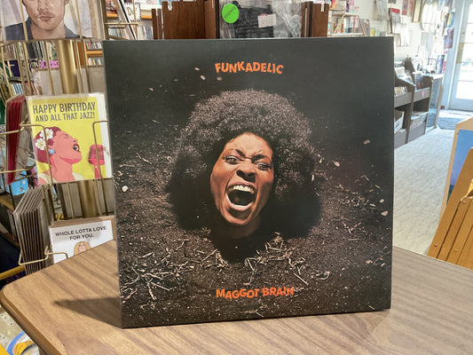 Funkadelic - Maggot Brain