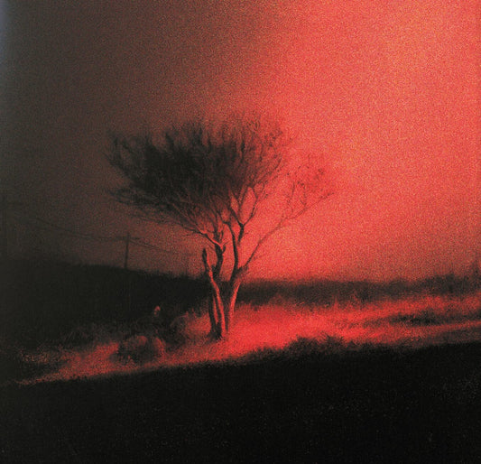 Joji - Piss in the Wind