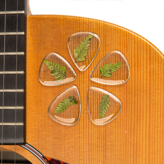 Flower Guitar Picks - Fern | Novelty Gift for Music Lover