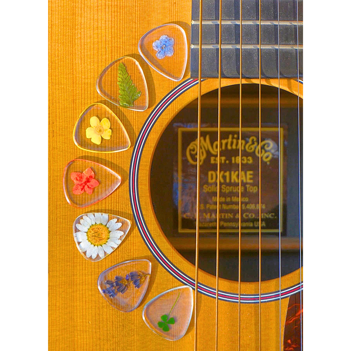 Flower Guitar Picks - Daisy | Novelty Gift for Music Lover
